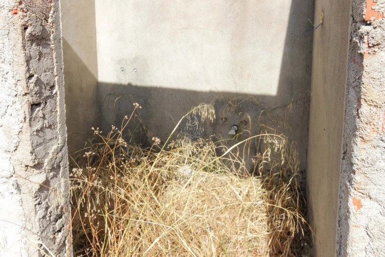 Moradia T4 para Venda em Almoster Foto 16