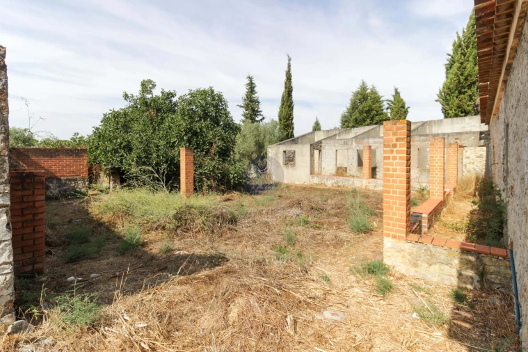 Moradia T4 para Venda em Almoster Foto 8