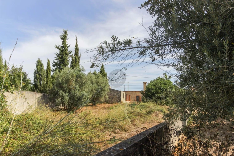 Moradia T4 para Venda em Almoster Foto 26