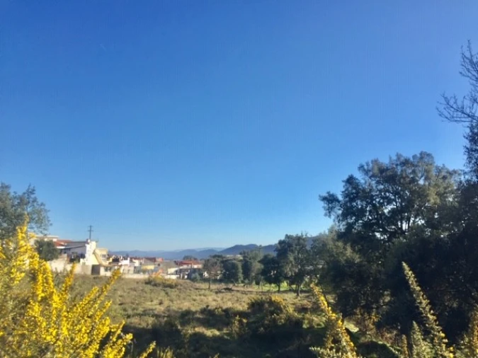 Terreno para Venda em Valongo Foto 8