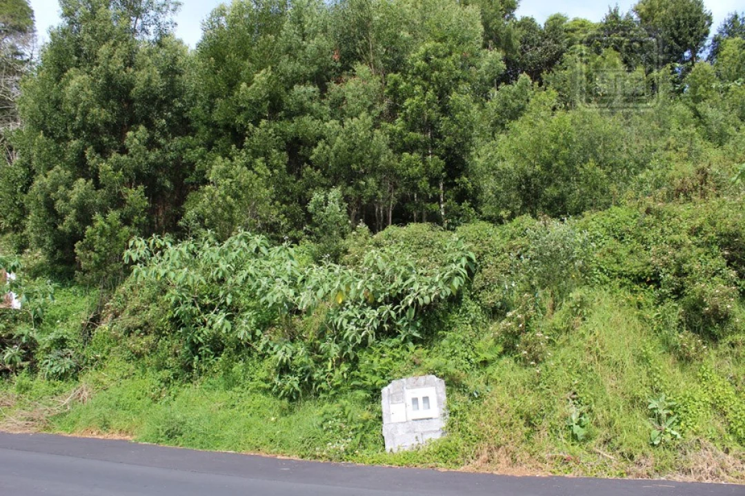 Terreno para Venda em Terra Chã Foto 5