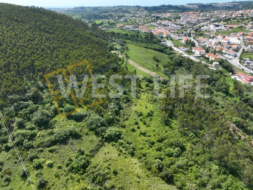 Terreno Agricola ou Rústico para Venda em Malveira e São Miguel de Alcainça Foto 4