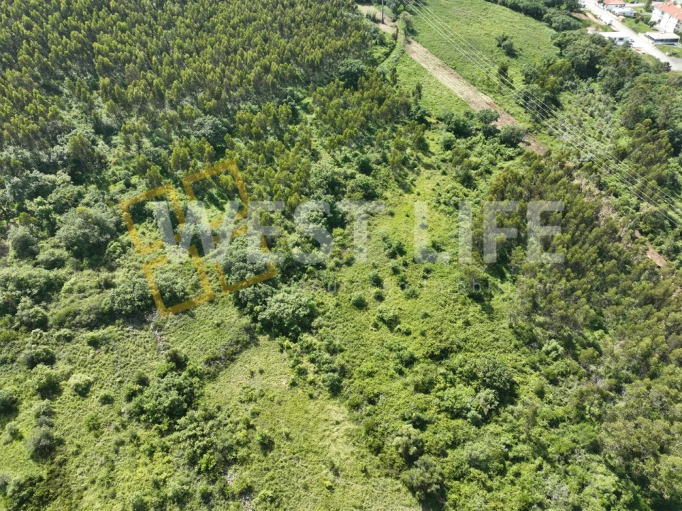 Terreno Agricola ou Rústico para Venda em Malveira e São Miguel de Alcainça Foto 5