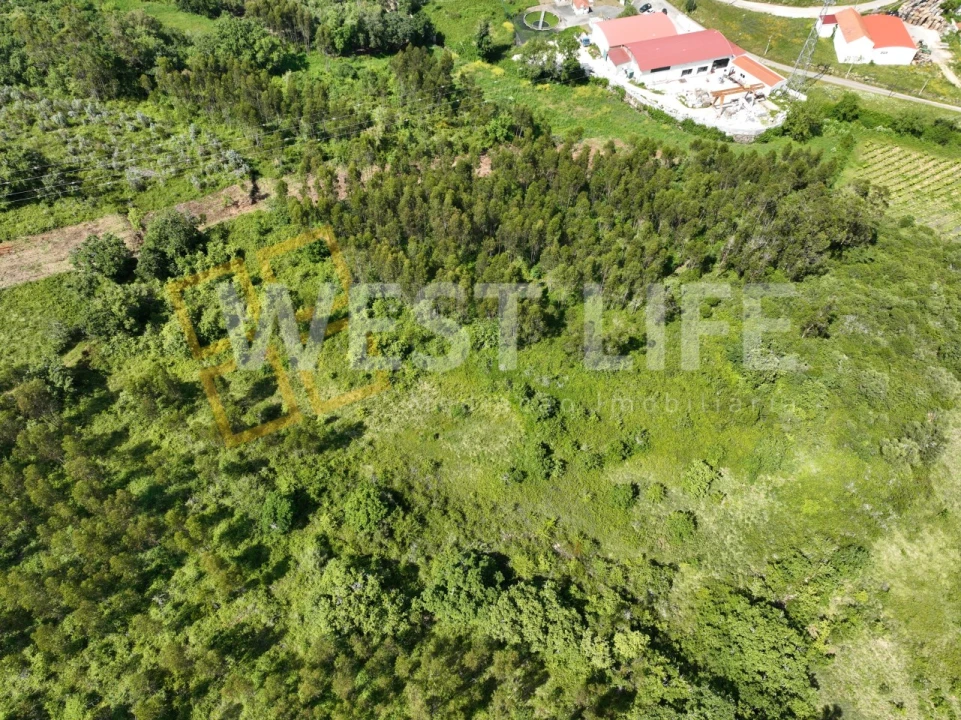 Terreno Agricola ou Rústico para Venda em Malveira e São Miguel de Alcainça Foto 6