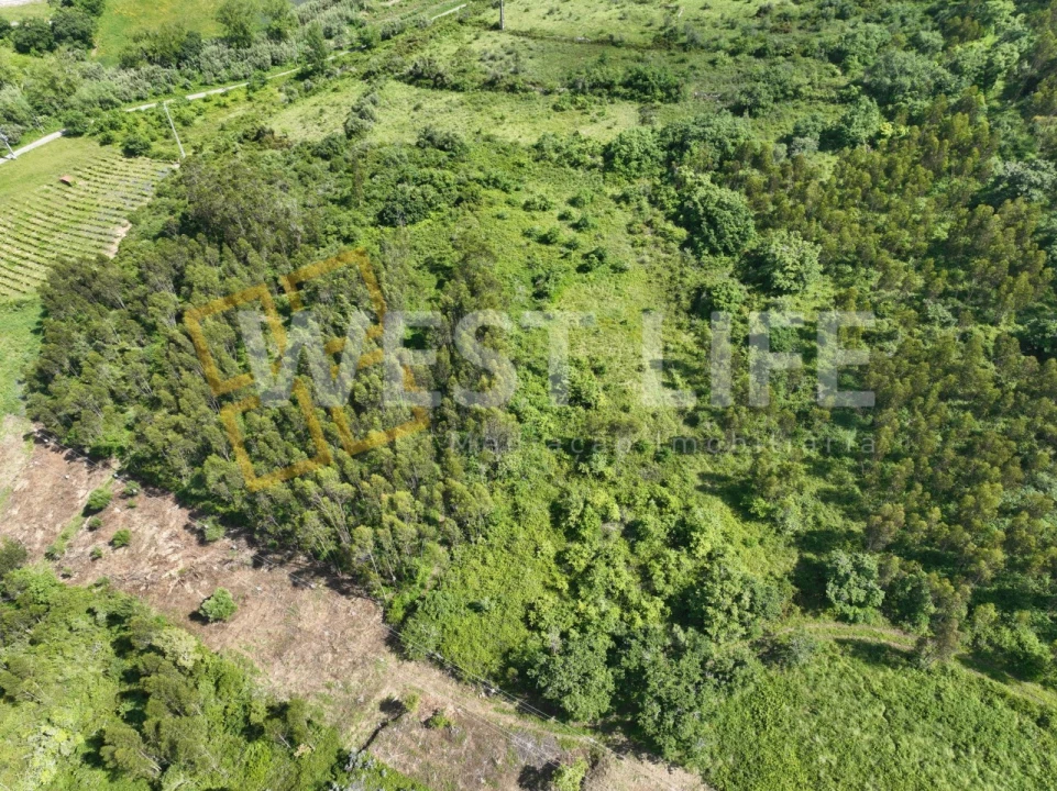 Terreno Agricola ou Rústico para Venda em Malveira e São Miguel de Alcainça Foto 1