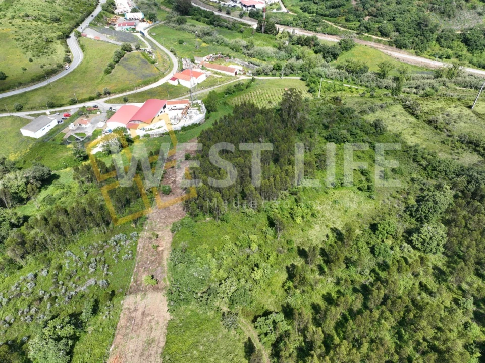 Terreno Agricola ou Rústico para Venda em Malveira e São Miguel de Alcainça Foto 7