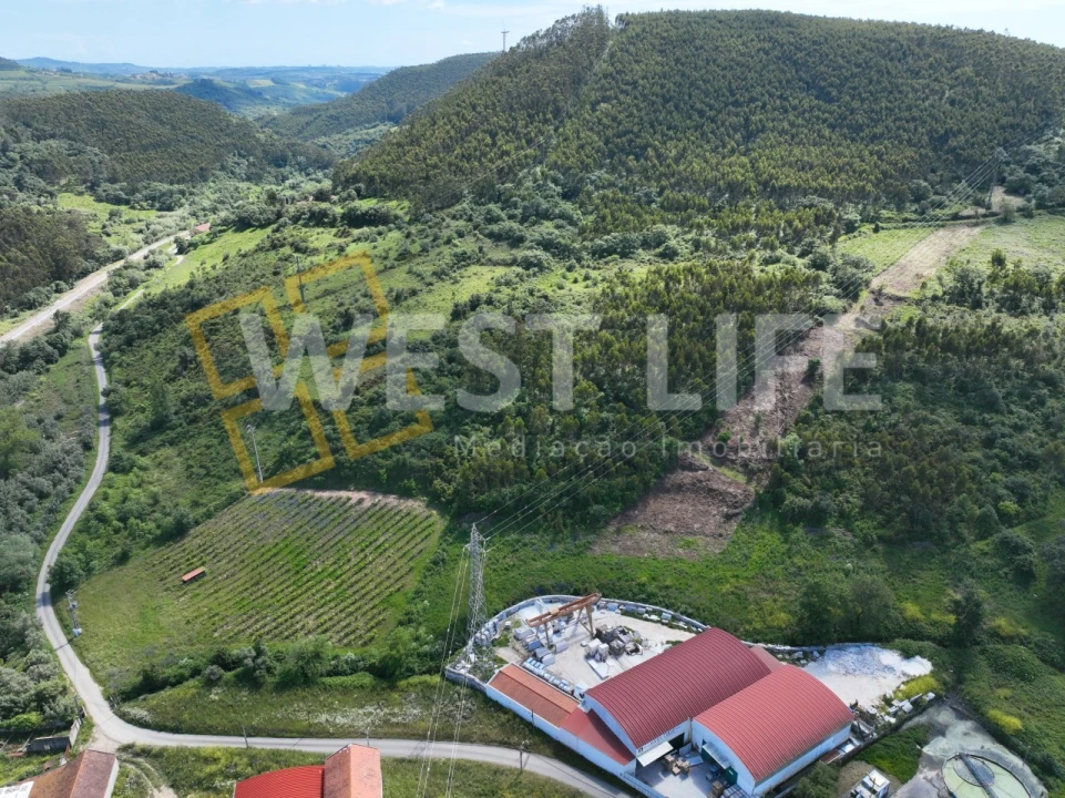 Terreno Agricola ou Rústico para Venda em Malveira e São Miguel de Alcainça Foto 9