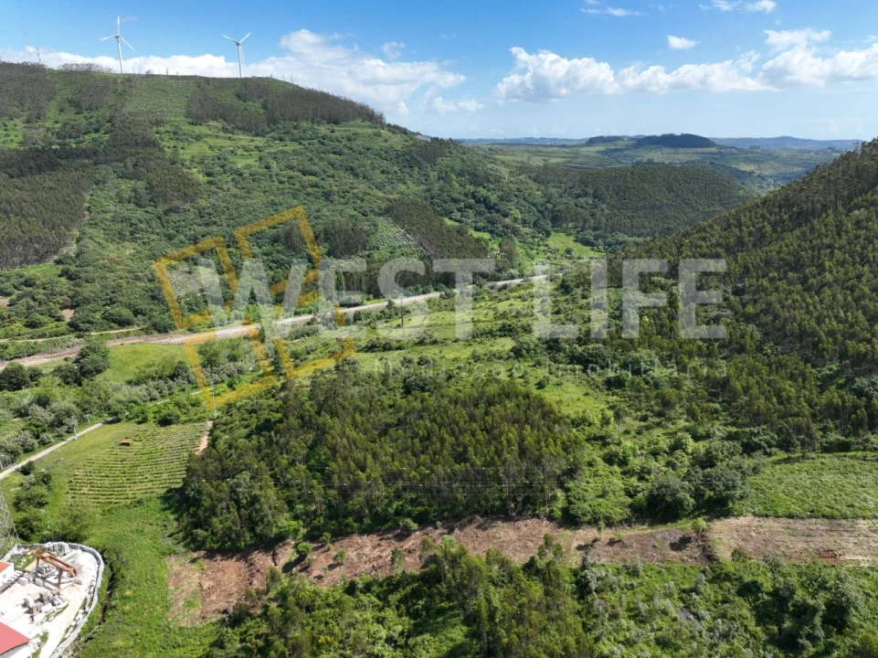 Terreno Agricola ou Rústico para Venda em Malveira e São Miguel de Alcainça Foto 11
