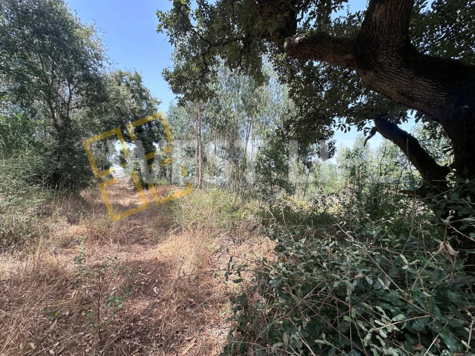 Terreno Agricola ou Rústico para Venda em Malveira e São Miguel de Alcainça Foto 12