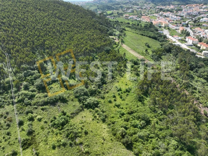 Terreno Agricola ou Rústico para Venda em Malveira e São Miguel de Alcainça Foto 3