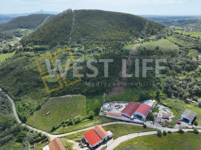 Terreno Agricola ou Rústico para Venda em Malveira e São Miguel de Alcainça Foto 1