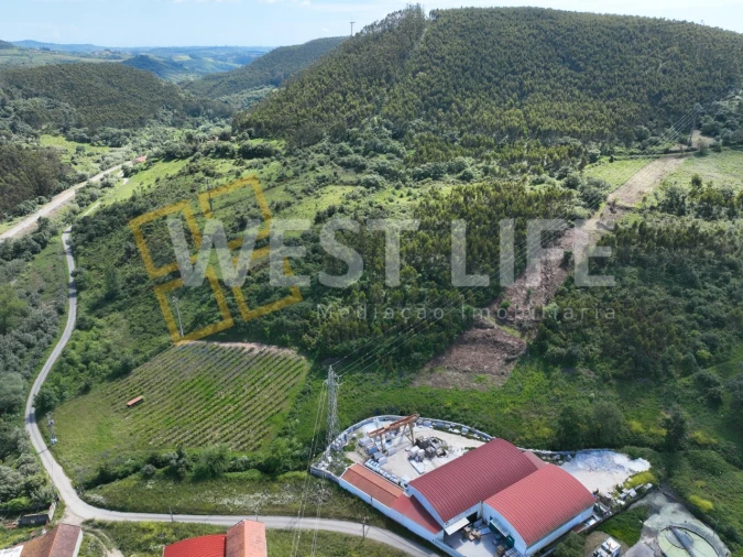 Terreno Agricola ou Rústico para Venda em Malveira e São Miguel de Alcainça Foto 9