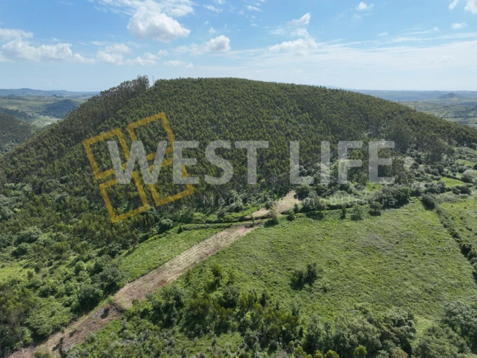 Terreno Agricola ou Rústico para Venda em Malveira e São Miguel de Alcainça Foto 10