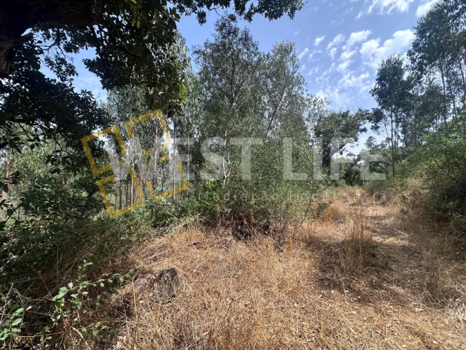 Terreno Agricola ou Rústico para Venda em Malveira e São Miguel de Alcainça Foto 14