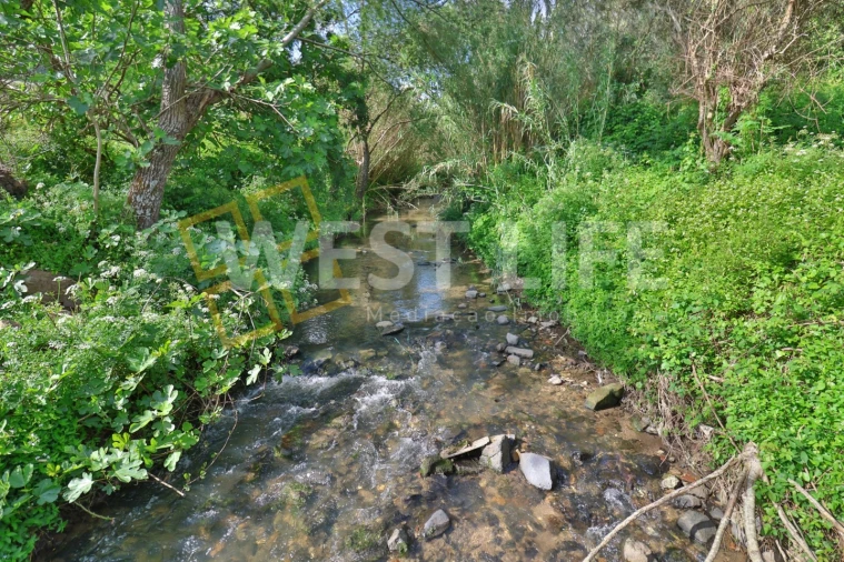 Terreno Agricola ou Rústico para Venda em Malveira e São Miguel de Alcainça Foto 5
