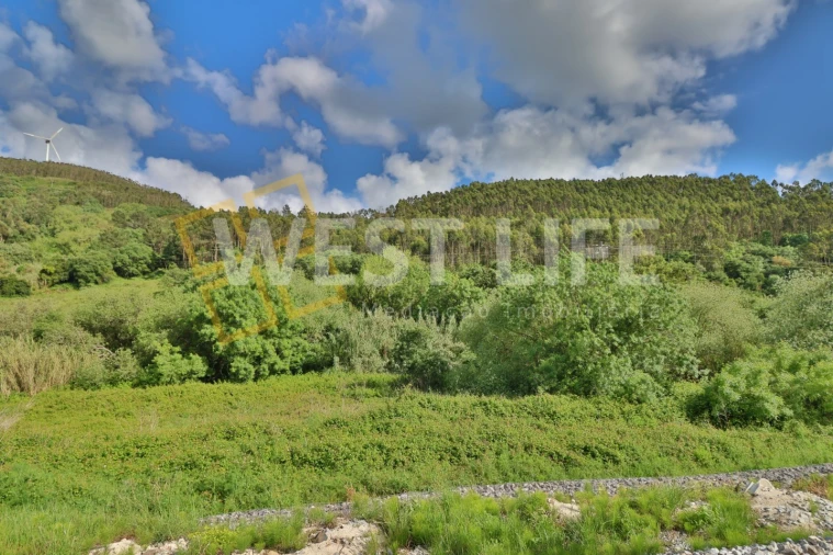 Terreno Agricola ou Rústico para Venda em Malveira e São Miguel de Alcainça Foto 6