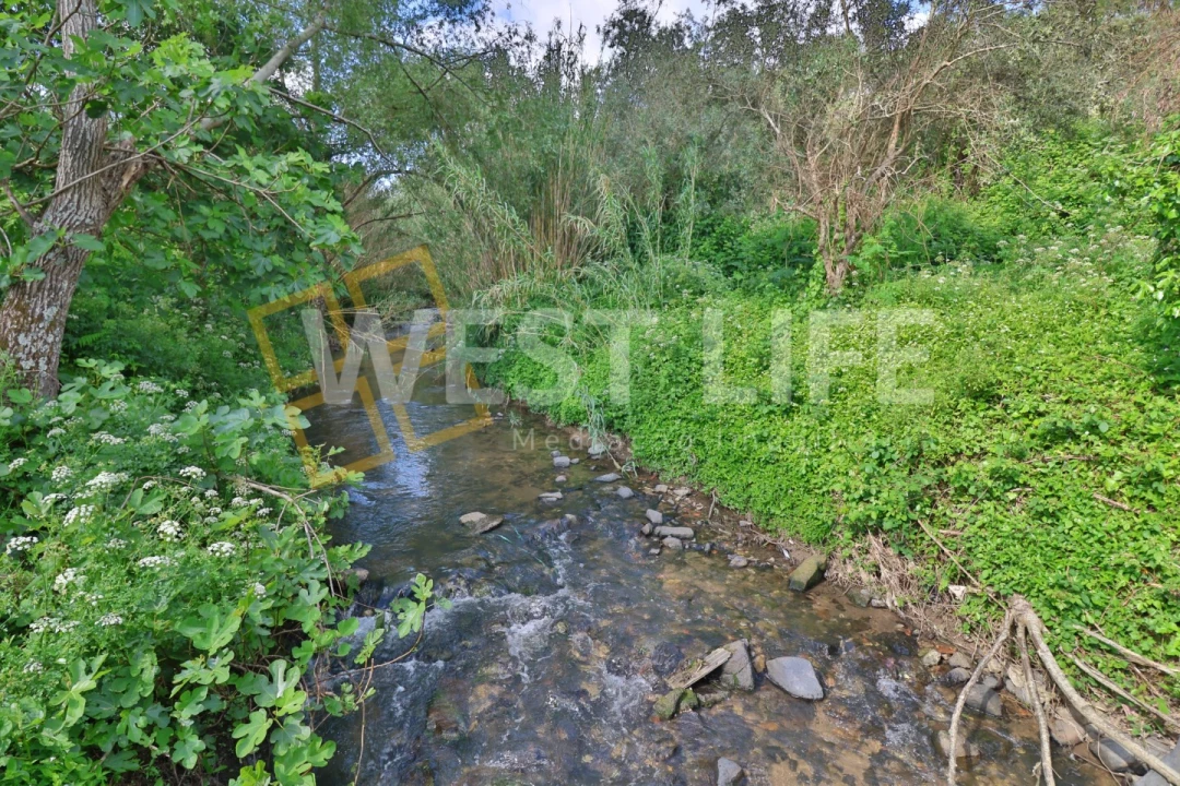 Terreno Agricola ou Rústico para Venda em Malveira e São Miguel de Alcainça Foto 3