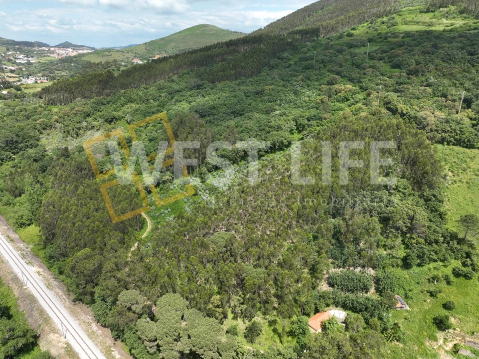 Terreno Agricola ou Rústico para Venda em Malveira e São Miguel de Alcainça Foto 14