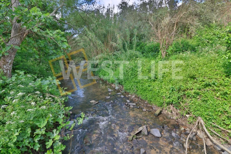 Terreno Agricola ou Rústico para Venda em Malveira e São Miguel de Alcainça Foto 2