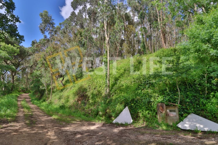 Terreno Agricola ou Rústico para Venda em Malveira e São Miguel de Alcainça Foto 3