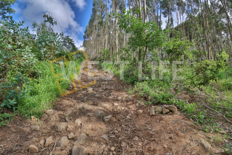Terreno Agricola ou Rústico para Venda em Malveira e São Miguel de Alcainça Foto 8