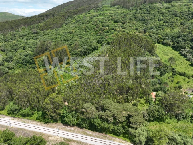 Terreno Agricola ou Rústico para Venda em Malveira e São Miguel de Alcainça Foto 11