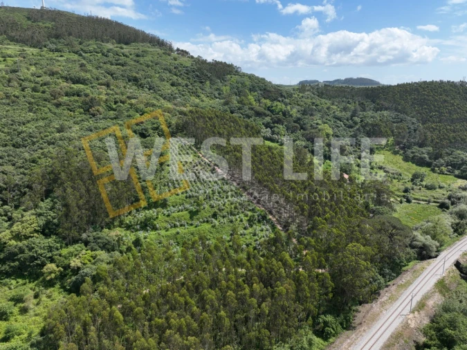 Terreno Agricola ou Rústico para Venda em Malveira e São Miguel de Alcainça Foto 12