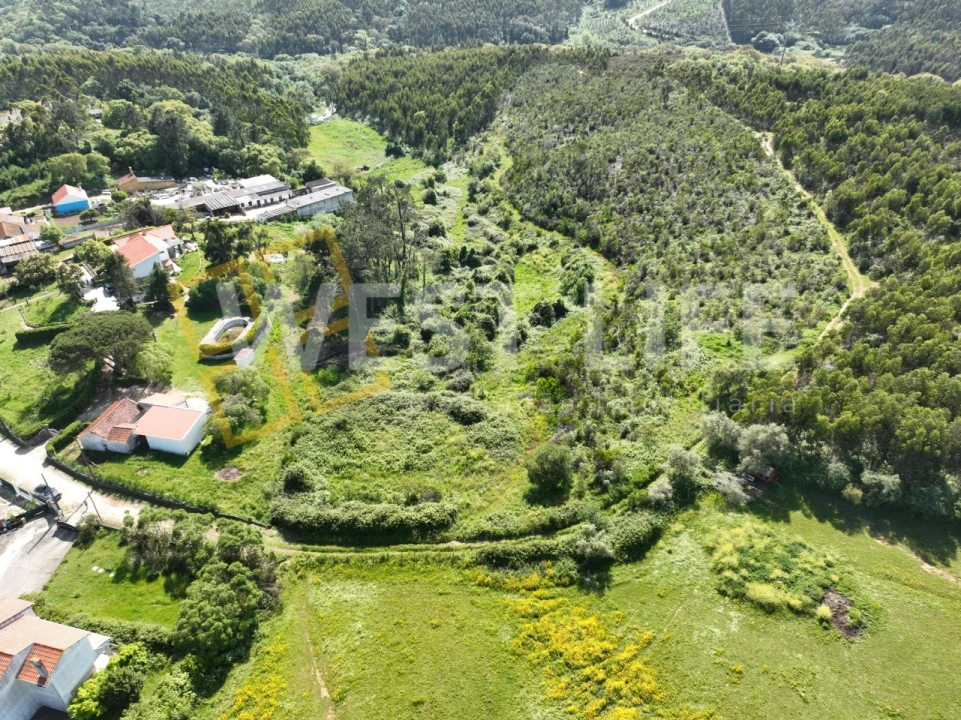 Terreno Agricola ou Rústico para Venda em Malveira e São Miguel de Alcainça Foto 1