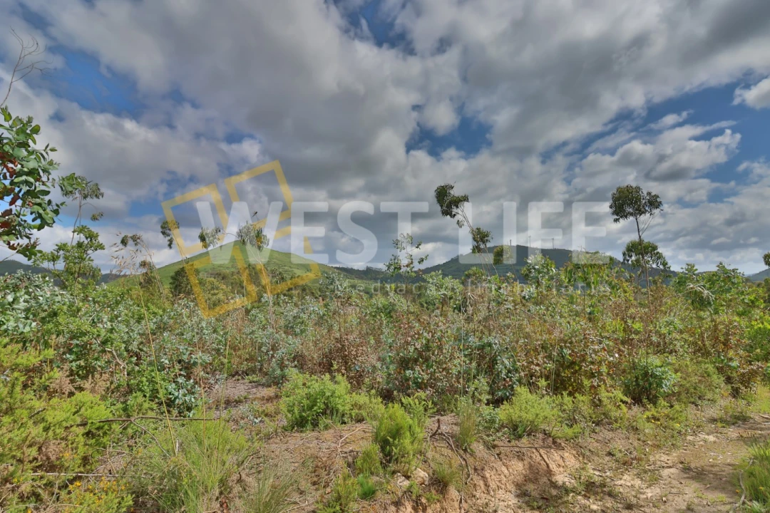 Terreno Agricola ou Rústico para Venda em Malveira e São Miguel de Alcainça Foto 3