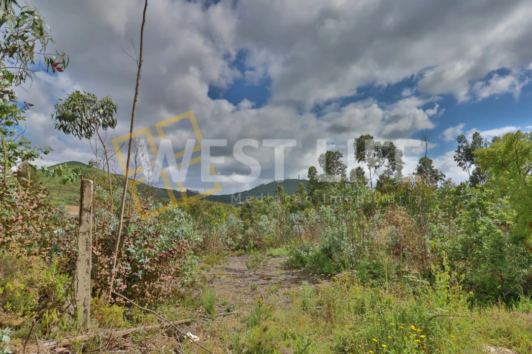 Terreno Agricola ou Rústico para Venda em Malveira e São Miguel de Alcainça Foto 4