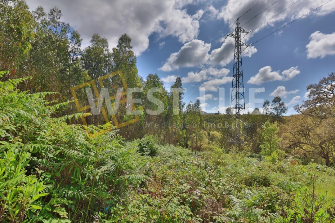 Terreno Agricola ou Rústico para Venda em Malveira e São Miguel de Alcainça Foto 6