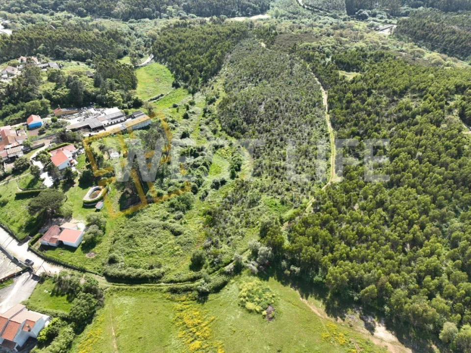 Terreno Agricola ou Rústico para Venda em Malveira e São Miguel de Alcainça Foto 14