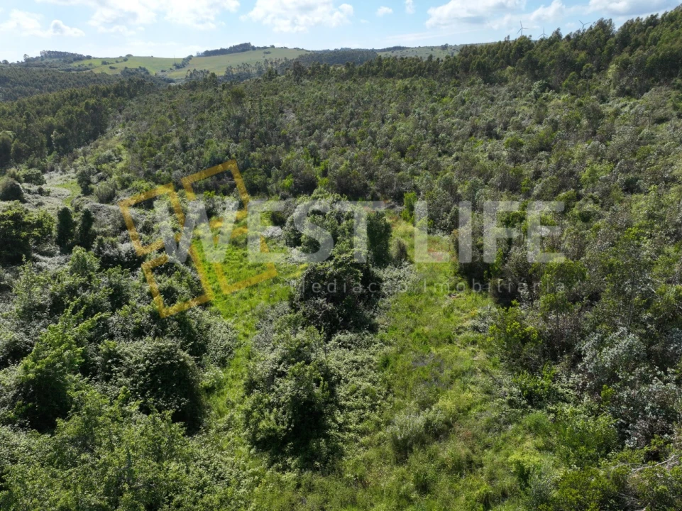 Terreno Agricola ou Rústico para Venda em Malveira e São Miguel de Alcainça Foto 15