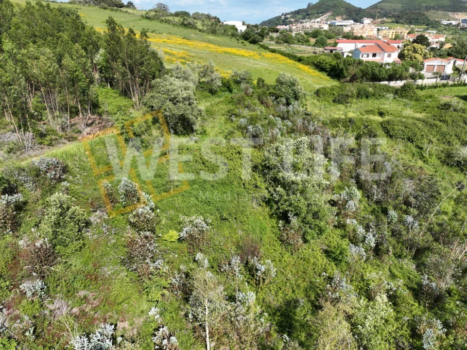 Terreno Agricola ou Rústico para Venda em Malveira e São Miguel de Alcainça Foto 16