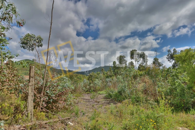 Terreno Agricola ou Rústico para Venda em Malveira e São Miguel de Alcainça Foto 4