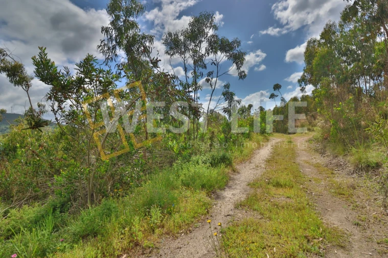 Terreno Agricola ou Rústico para Venda em Malveira e São Miguel de Alcainça Foto 5