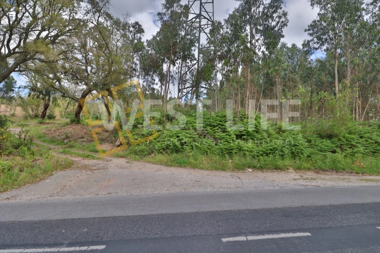 Terreno Agricola ou Rústico para Venda em Malveira e São Miguel de Alcainça Foto 9