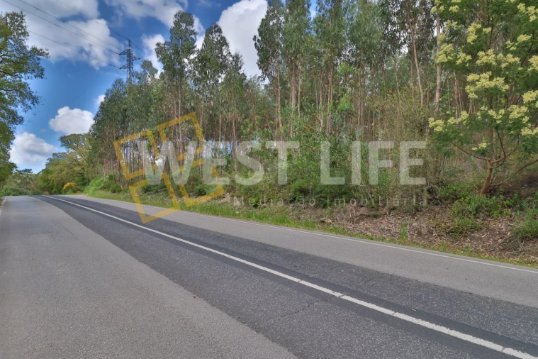 Terreno Agricola ou Rústico para Venda em Malveira e São Miguel de Alcainça Foto 11