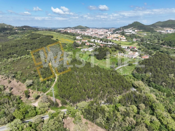 Terreno Agricola ou Rústico para Venda em Malveira e São Miguel de Alcainça Foto 12