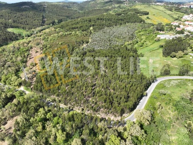Terreno Agricola ou Rústico para Venda em Malveira e São Miguel de Alcainça