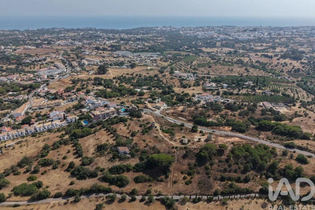Terreno para Venda em Ferreiras Foto 6