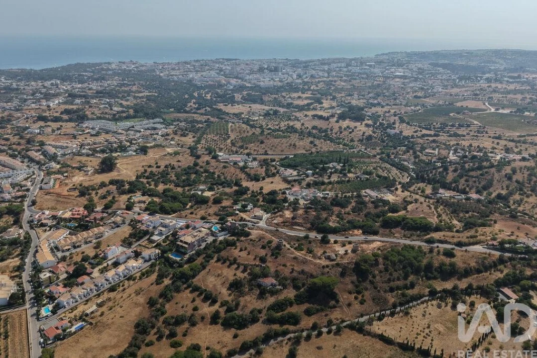 Terreno para Venda em Ferreiras Foto 8