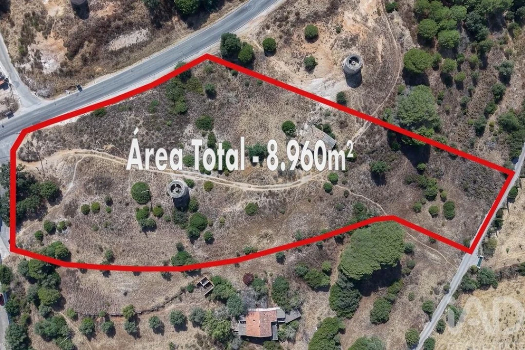 Terreno para Venda em Ferreiras Foto 1