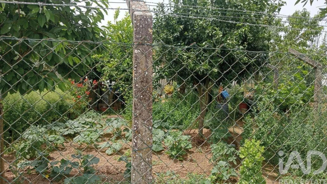 Moradia T2 para Venda em Santo Aleixo Foto 25