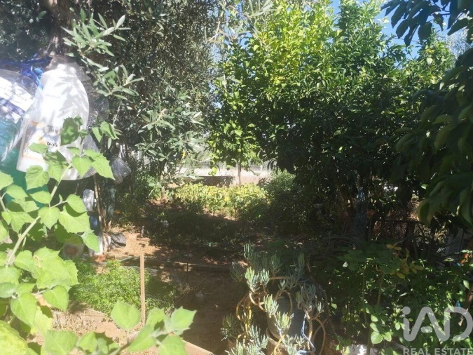 Moradia T2 para Venda em Santo Aleixo Foto 24