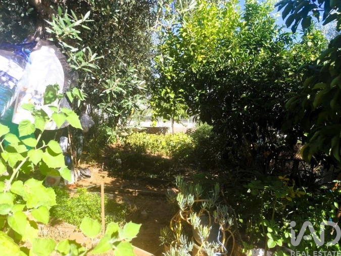Moradia T2 para Venda em Santo Aleixo Foto 25
