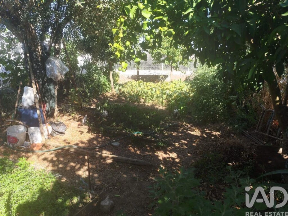 Moradia T2 para Venda em Santo Aleixo Foto 23