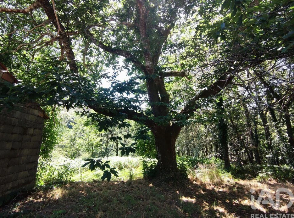 Moradia T5 para Venda em Moledo Foto 25