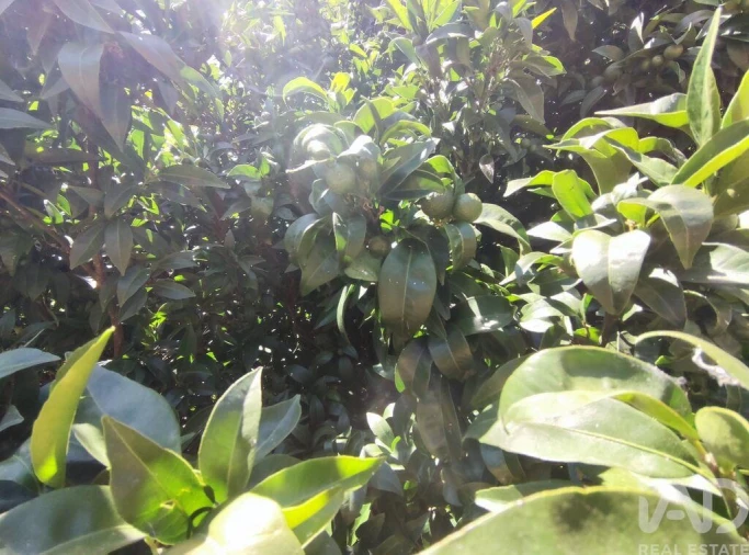 Moradia T5 para Venda em Moledo Foto 27