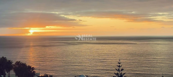 Moradia T2 para Venda em Ponta do Sol